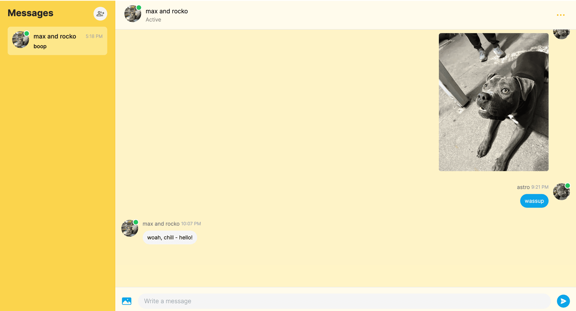 /projects/petpals/chat.png